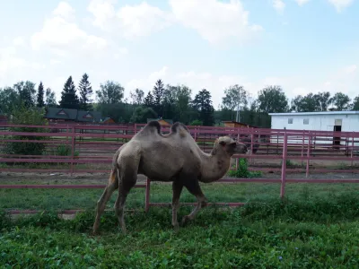 В городе