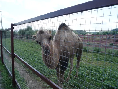 В городе