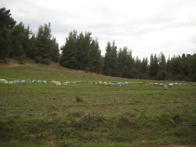 Ульи