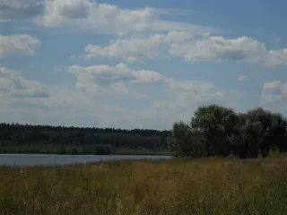 20r