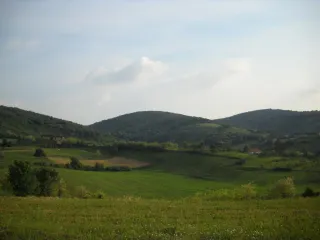 Фрушка Гора
