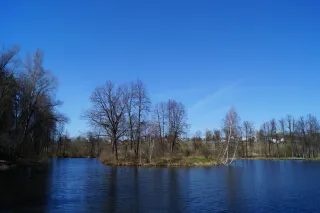 mcyri4