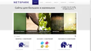 netspark.ru