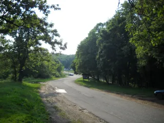 Фрушка Гора