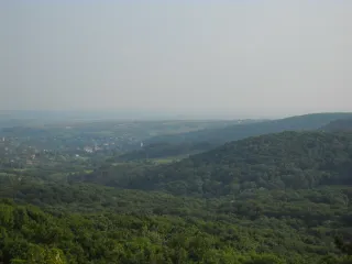 Фрушка Гора