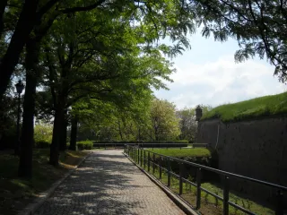 Петроварадинская крепость