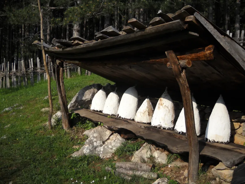 Сербия