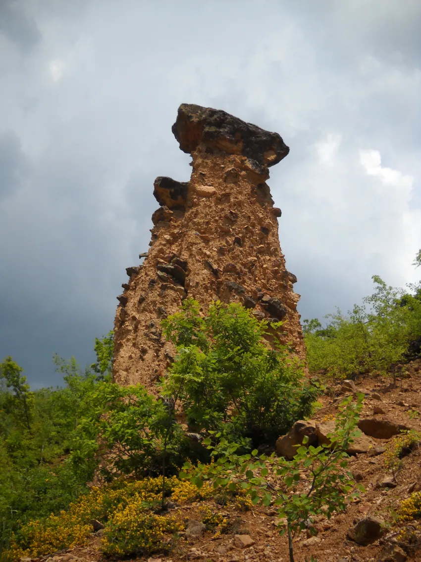 Сербия