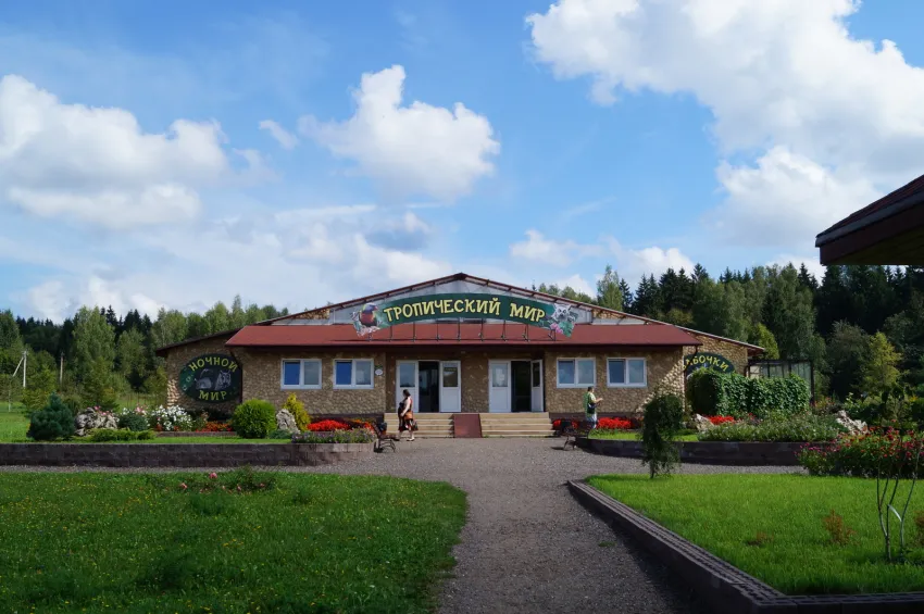 В городе