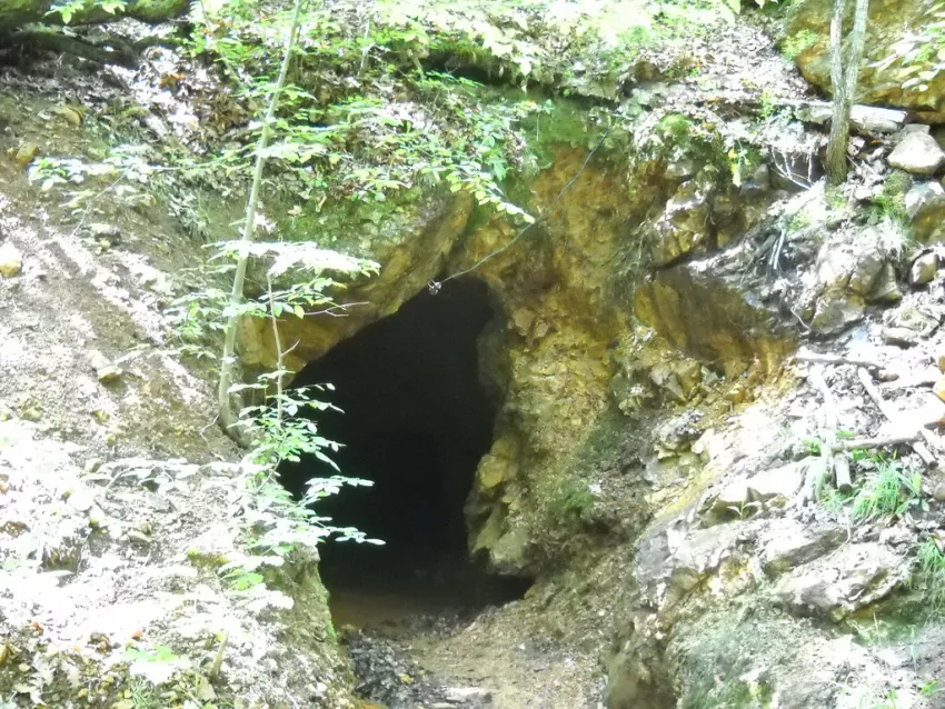 Сербия
