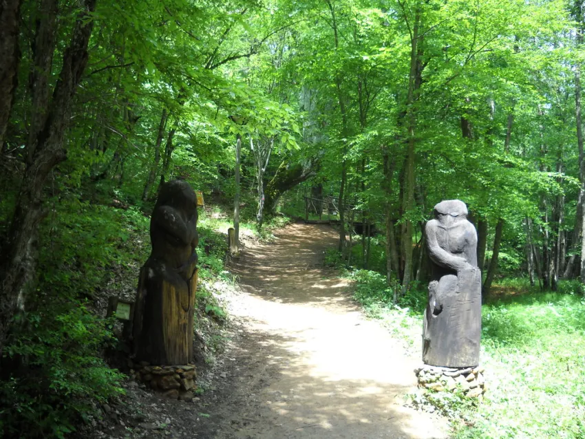 Сербия