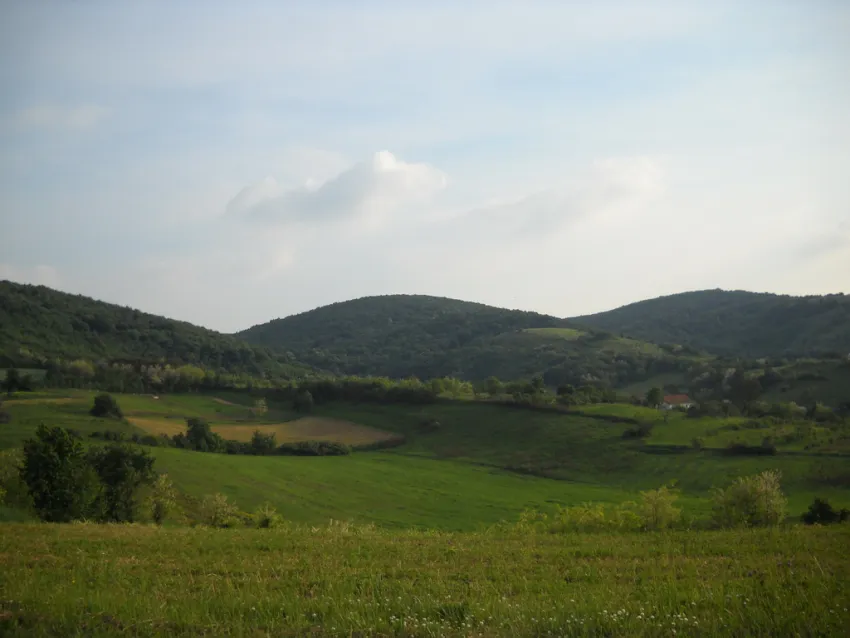 Фрушка Гора