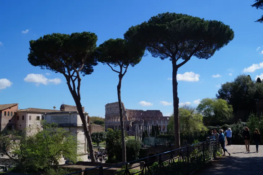 Рим