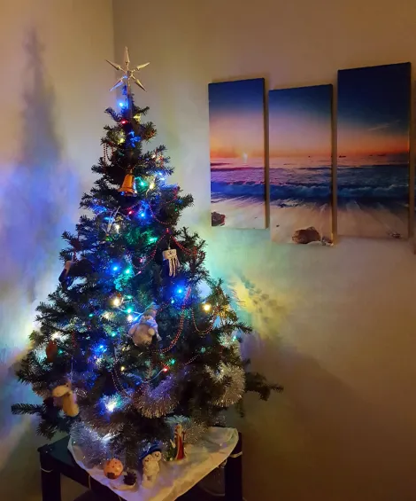 С Новым годом!