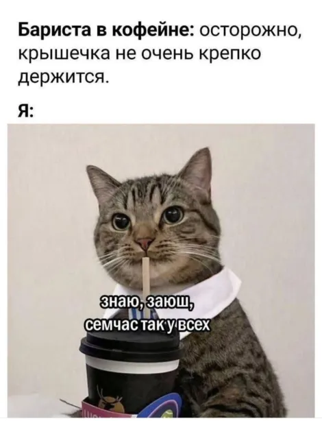 Как двигать проекты и не двинуться кукухой