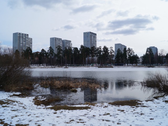 Школьное озеро